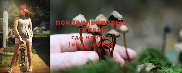 первитин Арсеньев
