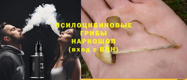 первитин Арсеньев