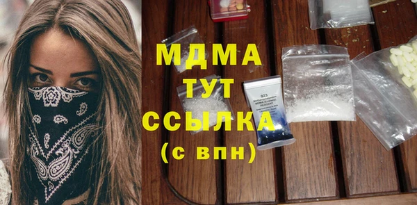 хмурый Пересвет