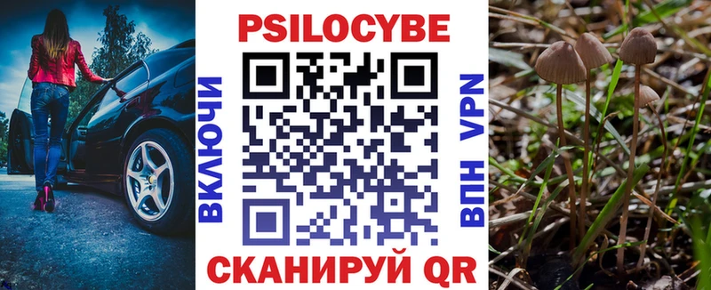 купить закладку Орлов Псилоцибиновые грибы GOLDEN TEACHER
